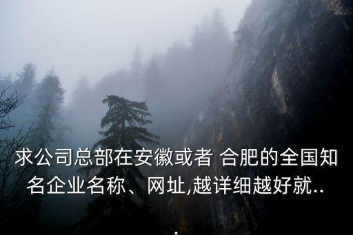 求公司總部在安徽或者 合肥的全國知名企業(yè)名稱、網(wǎng)址,越詳細越好就...