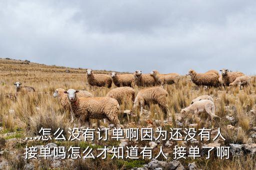 ...怎么沒(méi)有訂單啊因?yàn)檫€沒(méi)有人 接單嗎怎么才知道有人 接單了啊