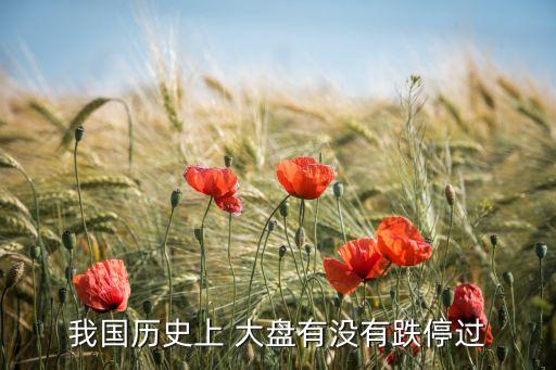 我國(guó)歷史上 大盤有沒(méi)有跌停過(guò)