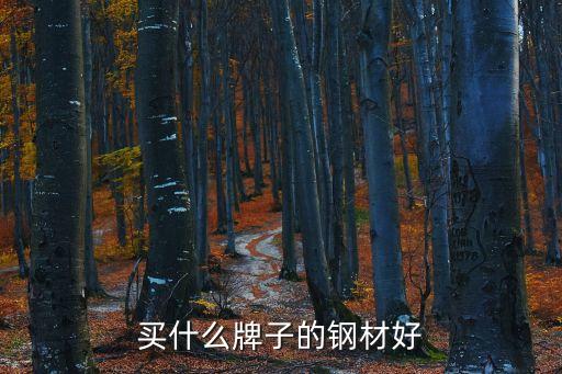 買(mǎi)什么牌子的鋼材好