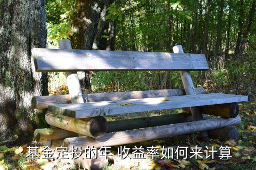  基金定投的年 收益率如何來(lái)計(jì)算