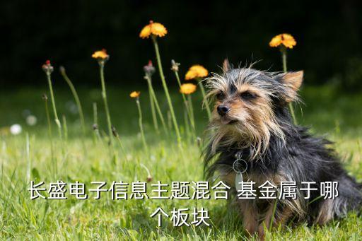 長(zhǎng)盛轉(zhuǎn)型基金001197,長(zhǎng)盛競(jìng)爭(zhēng)優(yōu)勢(shì)a基金