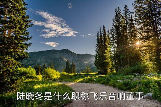 陸曉冬是什么職稱飛樂(lè)音響董事