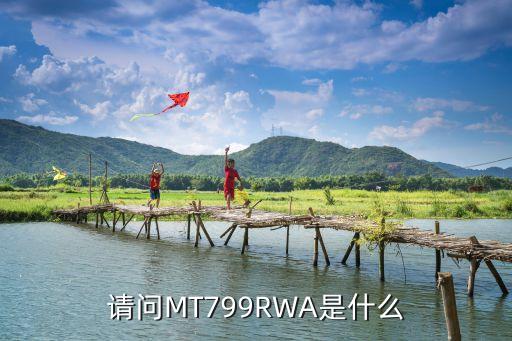 請問MT799RWA是什么