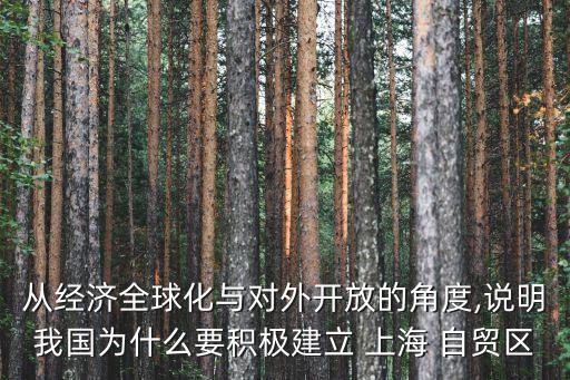 從經(jīng)濟全球化與對外開放的角度,說明我國為什么要積極建立 上海 自貿區(qū)