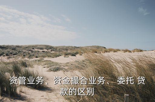 資管業(yè)務(wù)、資金撮合業(yè)務(wù)、 委托 貸款的區(qū)別