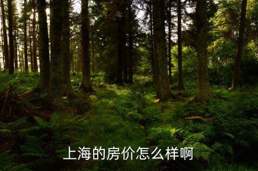 上海的房價(jià)怎么樣啊