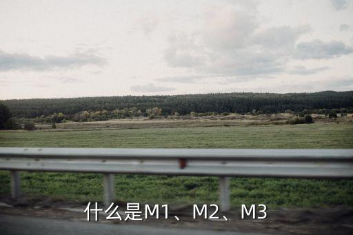 什么是M1、M2、M3