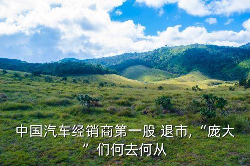 中國汽車經銷商第一股 退市,“龐大”們何去何從