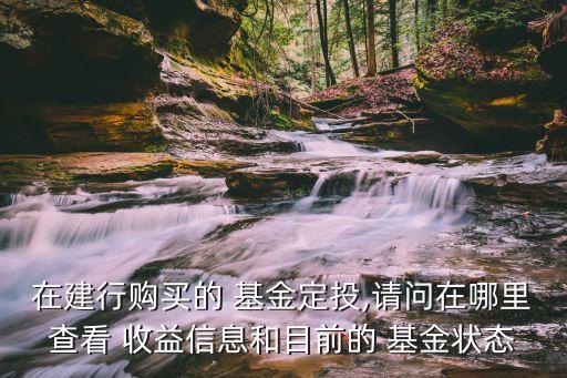 在建行購(gòu)買的 基金定投,請(qǐng)問在哪里查看 收益信息和目前的 基金狀態(tài)