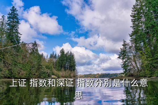 中國主要的證券指數有哪些