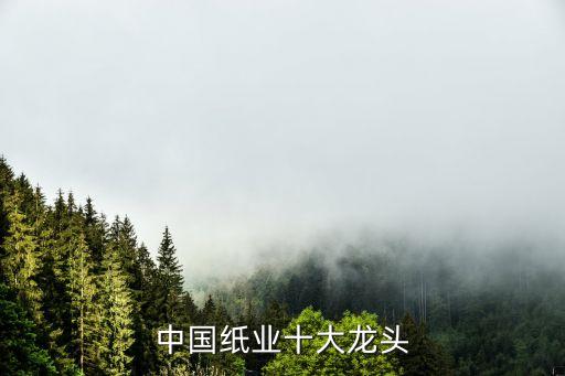 漯河銀鴿生活紙產有限公司電話