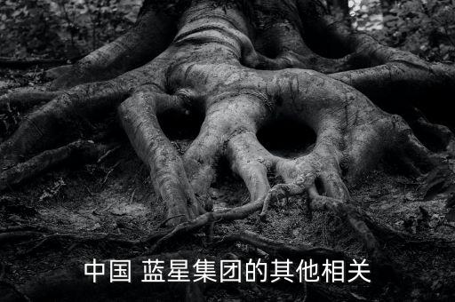 中國 藍(lán)星集團(tuán)的其他相關(guān)