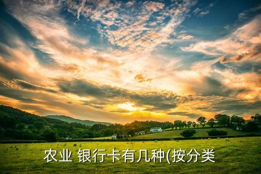 中國(guó)農(nóng)業(yè)銀行銀行卡