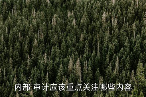內(nèi)部 審計應該重點關(guān)注哪些內(nèi)容