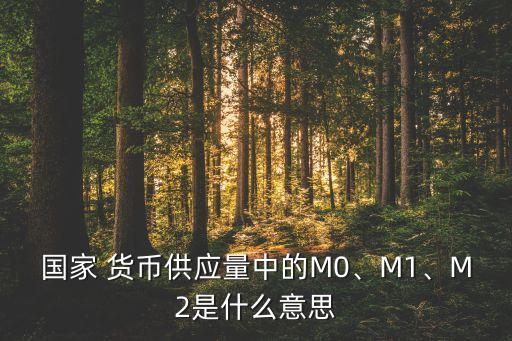 國家 貨幣供應量中的M0、M1、M2是什么意思