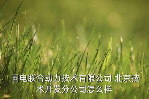 北京國電清新招聘,北京清新環(huán)境招聘筆試內容