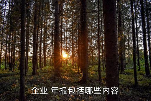 企業(yè) 年報包括哪些內容