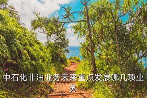 中石化非油業(yè)務(wù)未來重點(diǎn)發(fā)展哪幾項業(yè)務(wù)