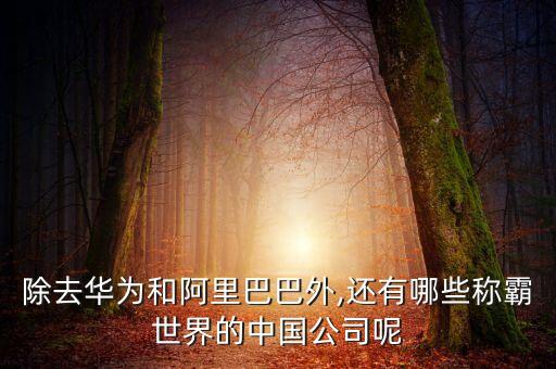 中國有哪些國際化企業(yè),中國企業(yè)實(shí)現(xiàn)國際化會帶來哪些好處