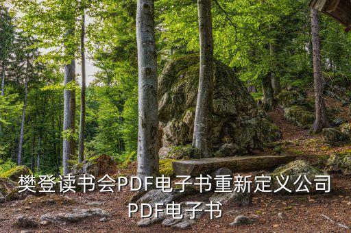 樊登讀書會PDF電子書重新定義公司PDF電子書