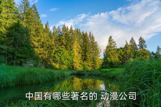 廣州奧飛動漫集團(tuán),瑞安奧光動漫集團(tuán)