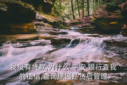 我沒(méi)有貸款,為什么 平安 銀行查我的征信,查詢(xún)?cè)蚴琴J后管理