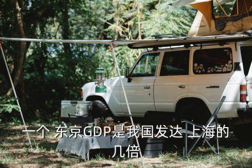 一個 東京GDP是我國發(fā)達(dá) 上海的幾倍
