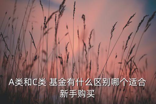 A類和C類 基金有什么區(qū)別哪個(gè)適合新手購(gòu)買(mǎi)