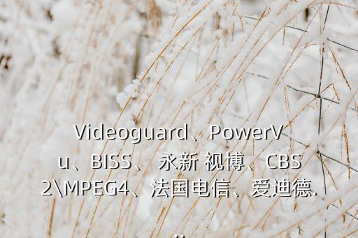 Videoguard、PowerVu、BISS、 永新 視博、CBS2\MPEG4、法國(guó)電信、愛迪德...