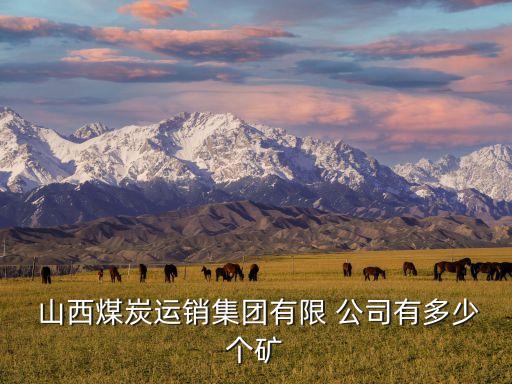  山西煤炭運銷集團(tuán)有限 公司有多少個礦