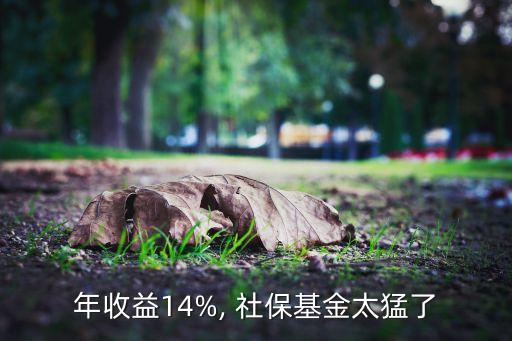 年收益14%, 社?；鹛土? class=