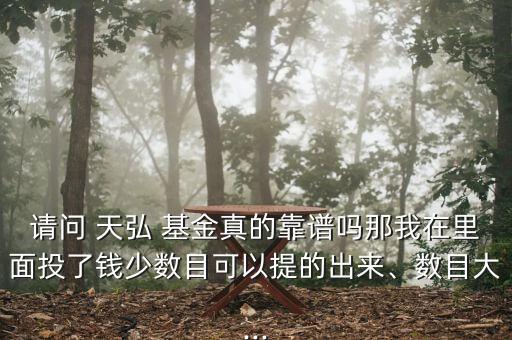 請問 天弘 基金真的靠譜嗎那我在里面投了錢少數(shù)目可以提的出來、數(shù)目大...