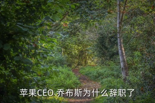 蘋(píng)果CEO 喬布斯為什么辭職了