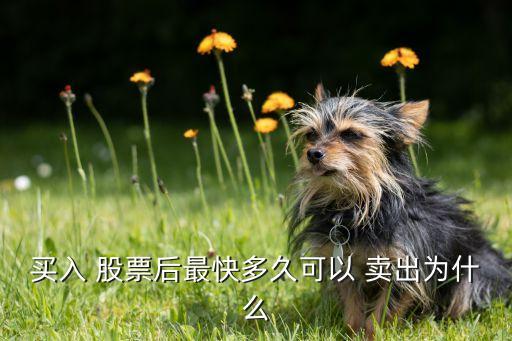 買(mǎi)入 股票后最快多久可以 賣(mài)出為什么