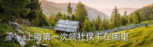  上海第一次領(lǐng)社?？ㄔ谀睦? class=