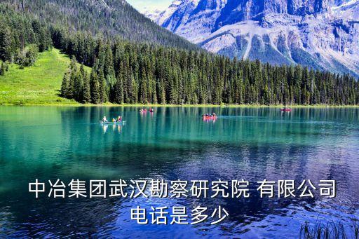 湖北中冶美隆貿易有限公司