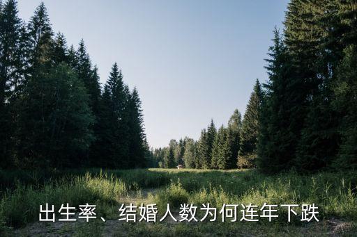 出生率、結(jié)婚人數(shù)為何連年下跌
