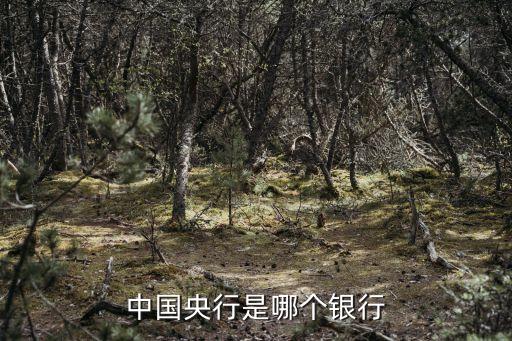 中國央行是哪個(gè)銀行