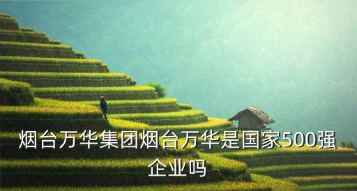 煙臺萬華集團(tuán)煙臺萬華是國家500強企業(yè)嗎