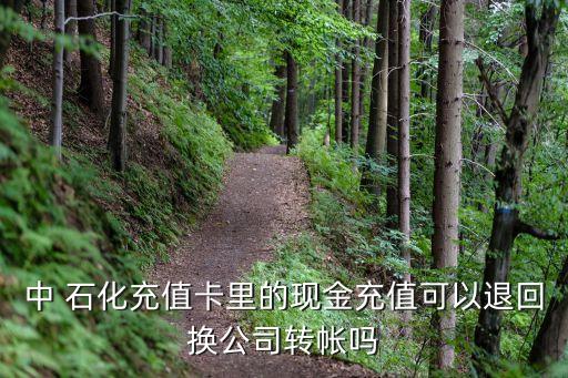 中國石化套現