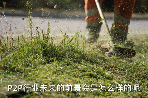 投資網貸能賺錢么,怎么投資網貸平臺賺錢