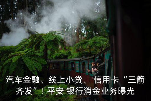 汽車金融、線上小貸、 信用卡“三箭齊發(fā)”! 平安 銀行消金業(yè)務(wù)曝光