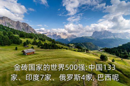 金磚國家的世界500強(qiáng):中國133家、印度7家、俄羅斯4家, 巴西呢