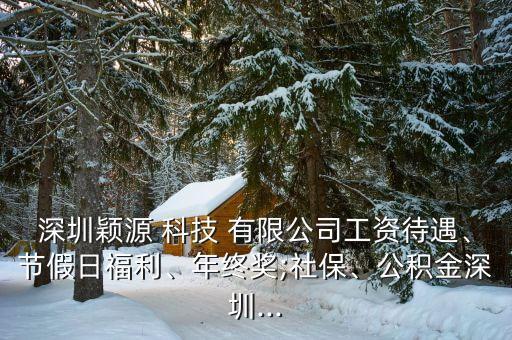 深圳穎源 科技 有限公司工資待遇、節(jié)假日福利、年終獎;社保、公積金深圳...