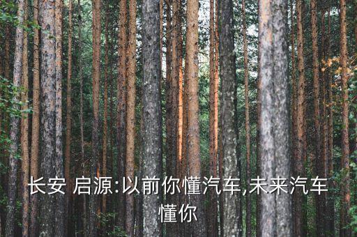 長(zhǎng)安 啟源:以前你懂汽車,未來(lái)汽車懂你