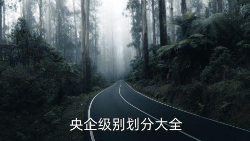 中國央企一把手是什么官,央企二級(jí)單位一把手是什么級(jí)別