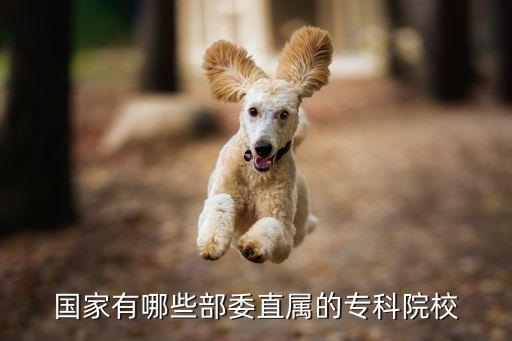 國家有哪些部委直屬的?？圃盒? class=