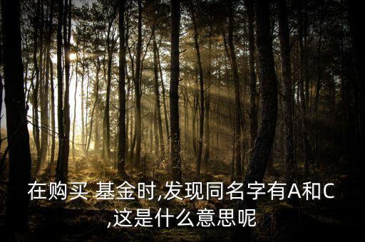 在購(gòu)買(mǎi) 基金時(shí),發(fā)現(xiàn)同名字有A和C,這是什么意思呢