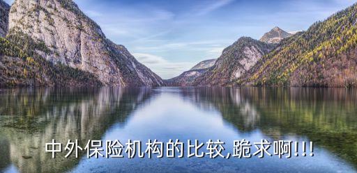 中外保險機構的比較,跪求啊!!!